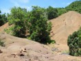 /album/galerie-de-photos-%3a-mon-amoureux-%c3%a0-mayotte-mardi-4-mars/a1ier-jour-pointe-de-saziley-les-padzas-49-jpg/